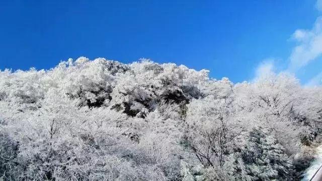 探讨分享生活百态,尽在律师一般会说得很严重吗